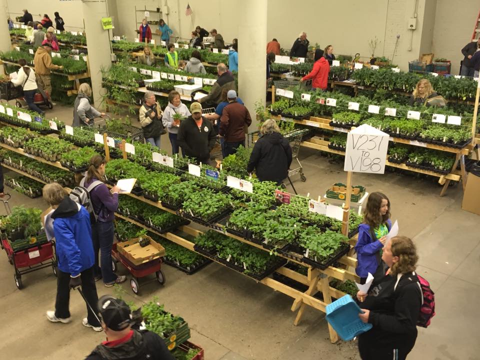 People browsing various plants displayed on long tables at an indoor garden sale.
